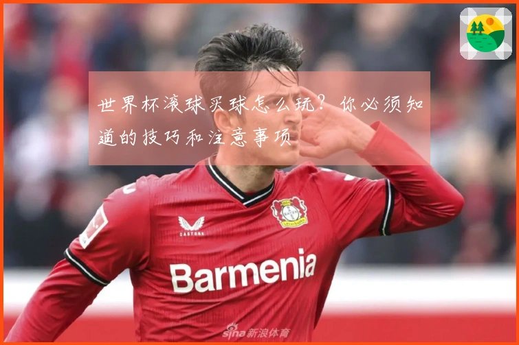 世界杯滚球买球怎么玩？你必须知道的技巧和注意事项