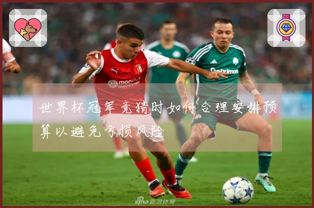 世界杯冠军竞猜时如何合理安排预算以避免亏损风险