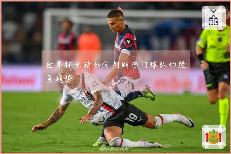 世界杯竞猜如何判断热门球队的胜负趋势