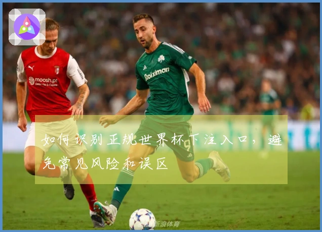 如何识别正规世界杯下注入口，避免常见风险和误区