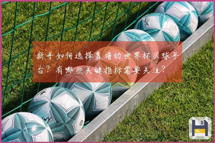 新手如何选择靠谱的世界杯买球平台？有哪些关键指标需要关注？