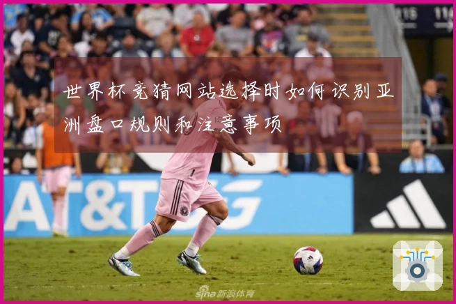 世界杯竞猜网站选择时如何识别亚洲盘口规则和注意事项