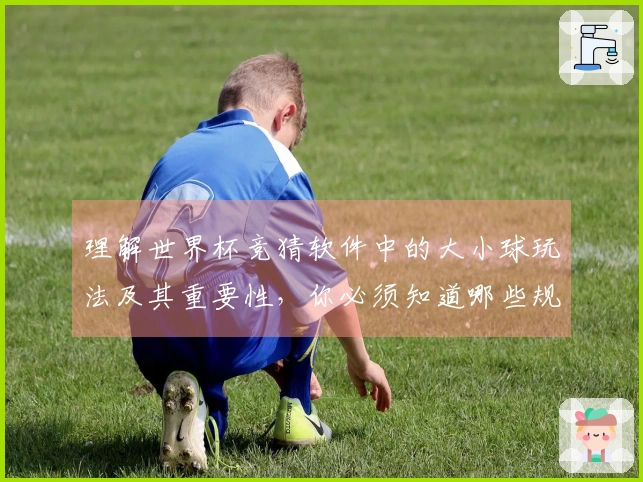 理解世界杯竞猜软件中的大小球玩法及其重要性，你必须知道哪些规则和注意事项
