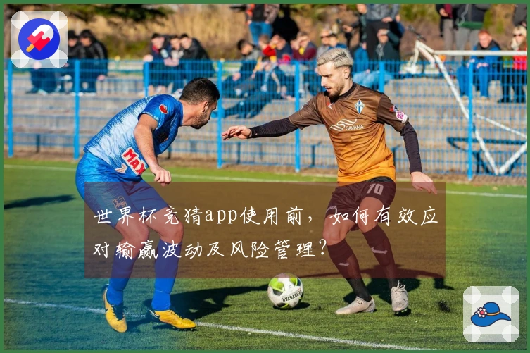 世界杯竞猜app使用前，如何有效应对输赢波动及风险管理？