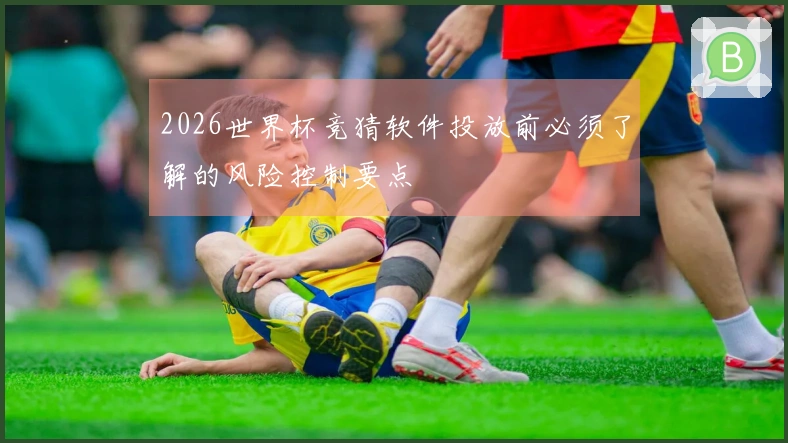 2026世界杯竞猜软件投放前必须了解的风险控制要点