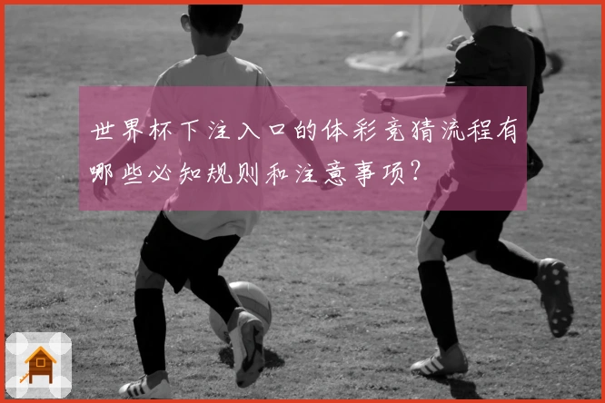 世界杯下注入口的体彩竞猜流程有哪些必知规则和注意事项？