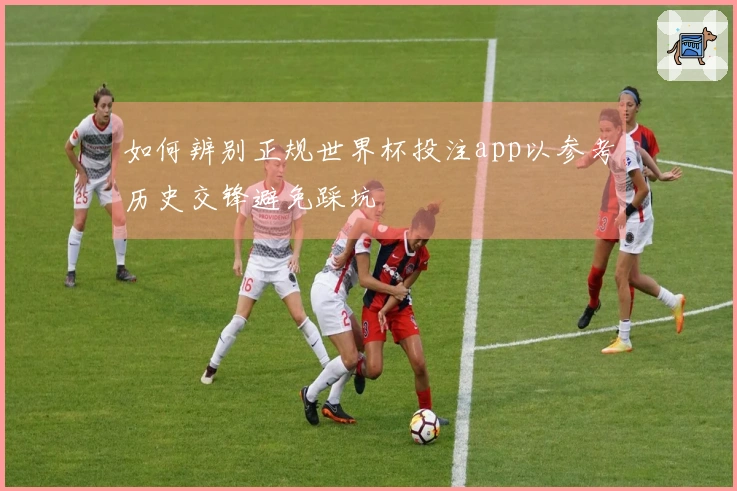 如何辨别正规世界杯投注app以参考历史交锋避免踩坑