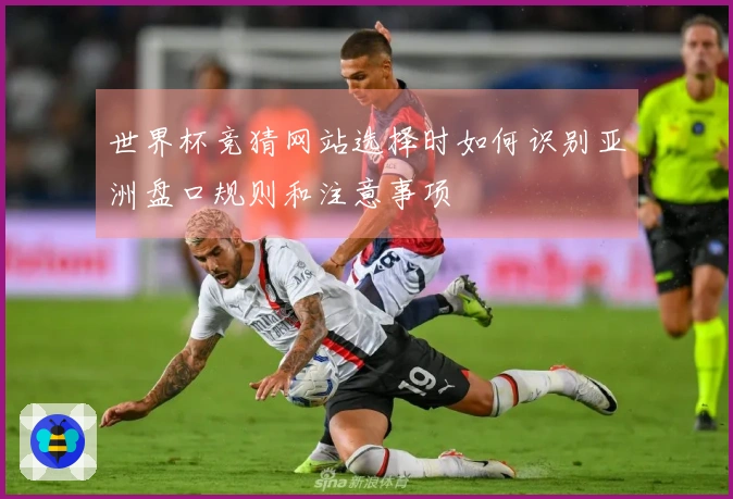世界杯竞猜网站选择时如何识别亚洲盘口规则和注意事项