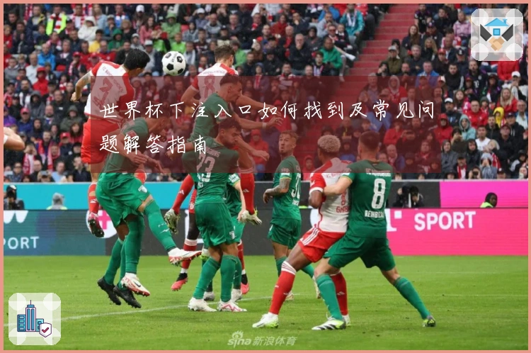 世界杯下注入口如何找到及常见问题解答指南