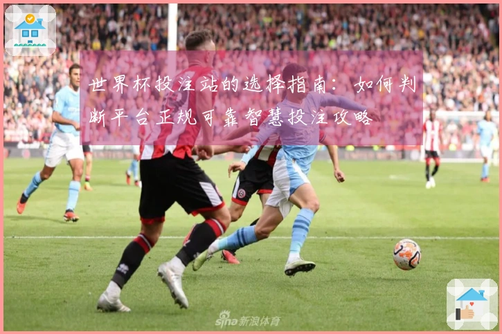 世界杯投注站的选择指南：如何判断平台正规可靠智慧投注攻略