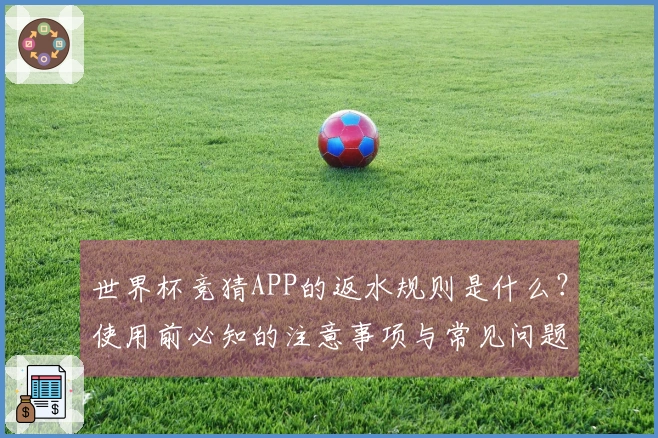 世界杯竞猜APP的返水规则是什么？使用前必知的注意事项与常见问题解析
