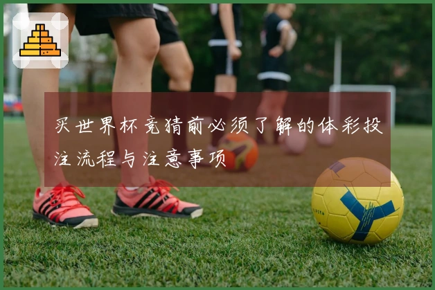 买世界杯竞猜前必须了解的体彩投注流程与注意事项