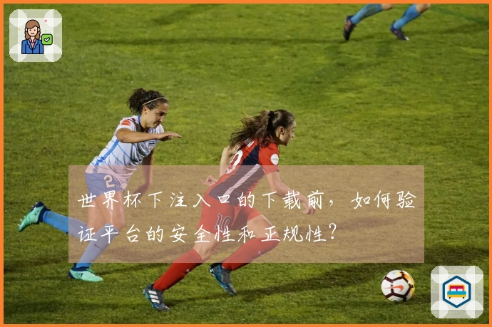 世界杯下注入口的下载前,如何验证平台的安全性和正规性?
