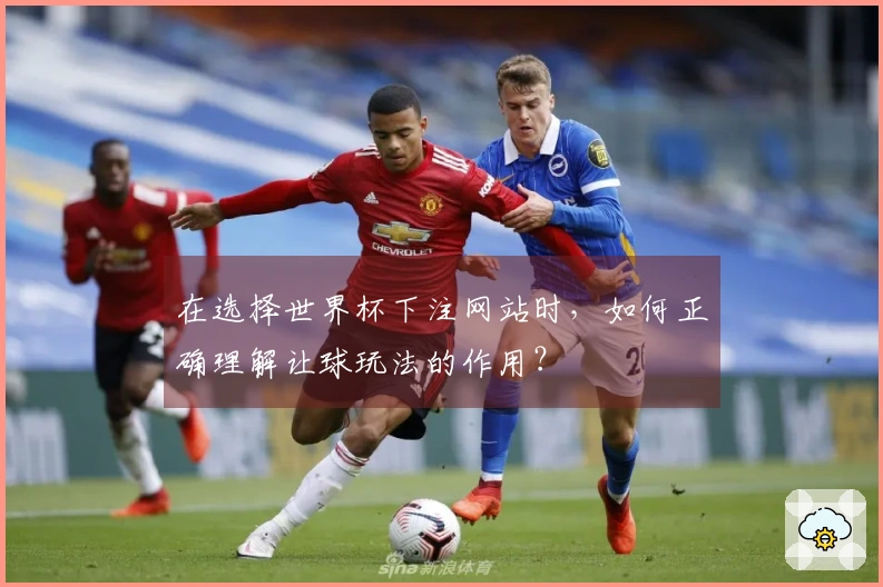 在选择世界杯下注网站时，如何正确理解让球玩法的作用？