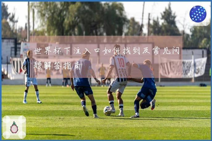 世界杯下注入口如何找到及常见问题解答指南