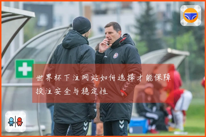 世界杯下注网站如何选择才能保障投注安全与稳定性