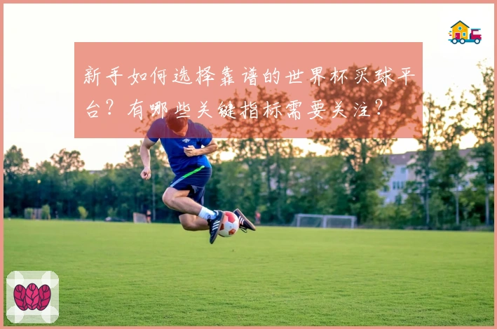 新手如何选择靠谱的世界杯买球平台？有哪些关键指标需要关注？
