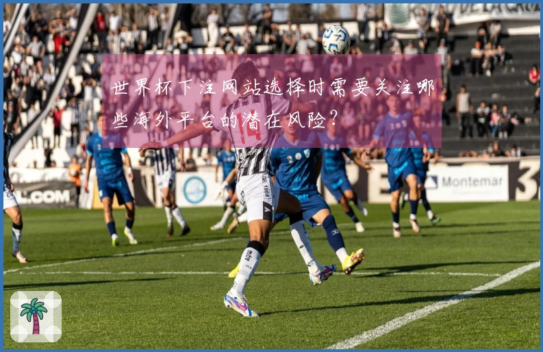 世界杯下注网站选择时需要关注哪些海外平台的潜在风险？