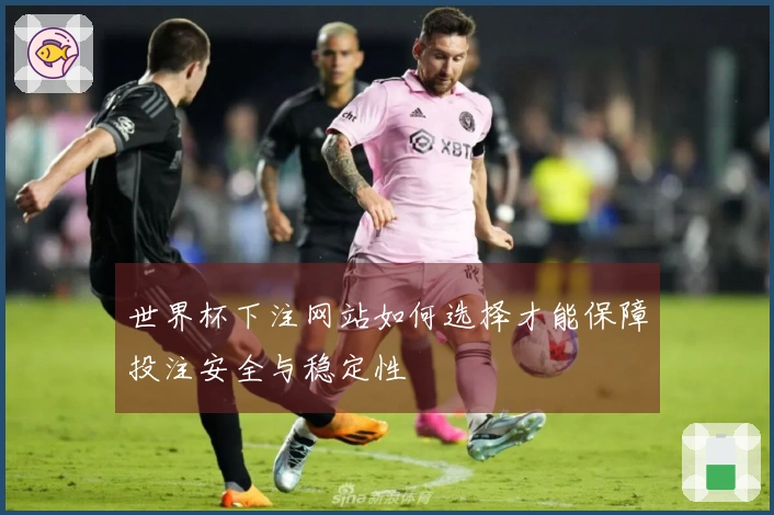 世界杯下注网站如何选择才能保障投注安全与稳定性