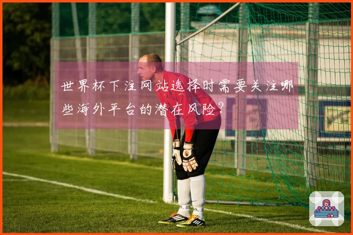 世界杯下注网站选择时需要关注哪些海外平台的潜在风险？